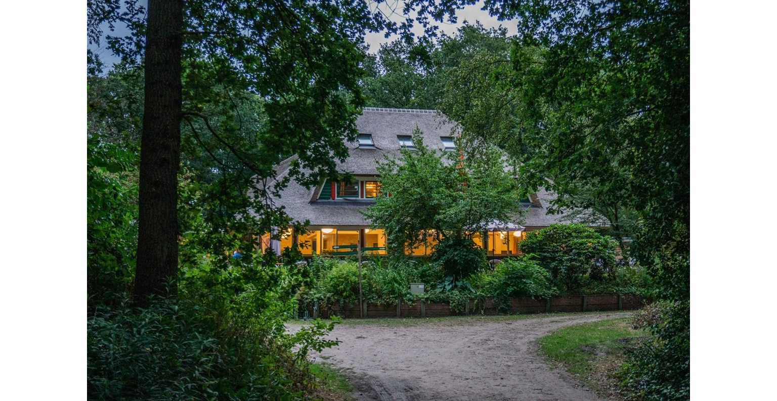 Hondsrug bij vond